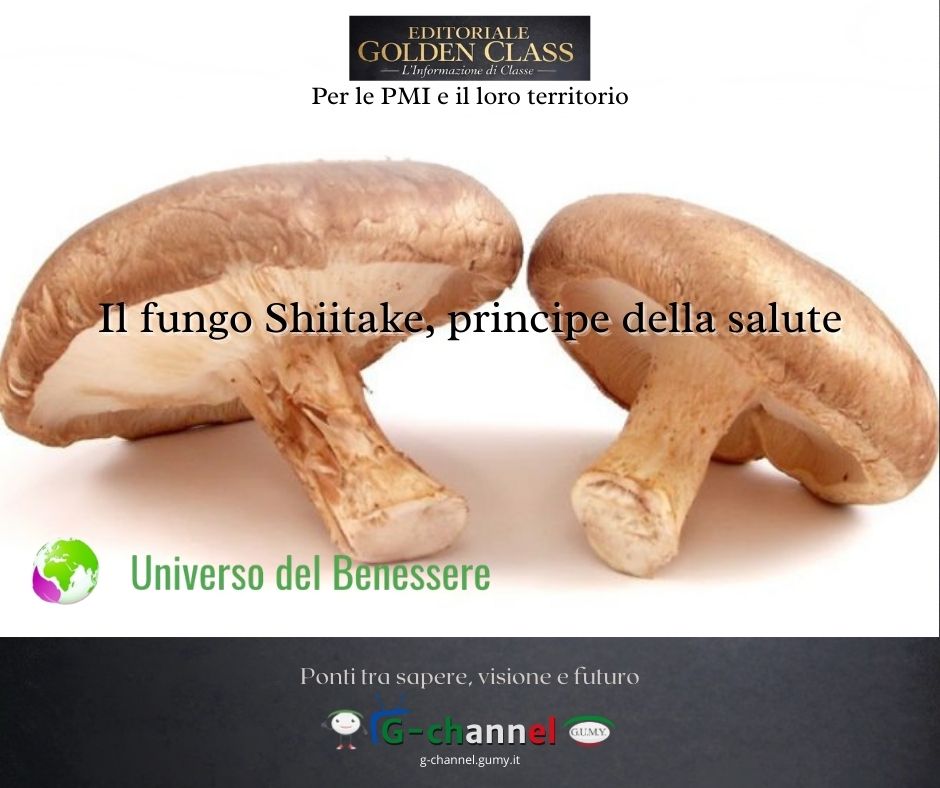 Il fungo Shiitake, principe della salute